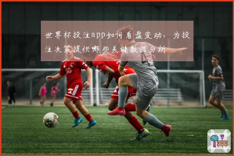 世界杯投注app如何看盘变动，为投注决策提供哪些关键数据分析