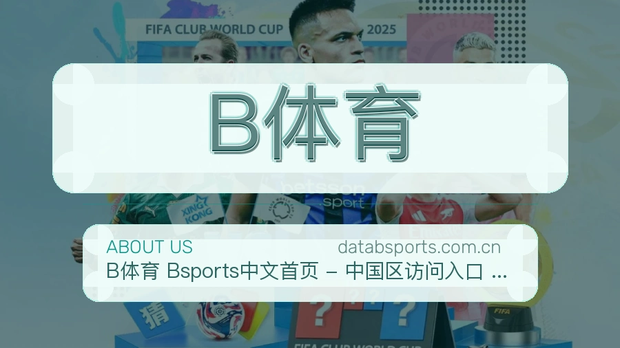 B体育平台简介展示